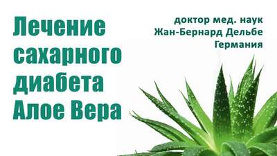 Чем полезно алоэ вера при диабете и как его использовать? Улучшаем состояние при личении диабета с помощью алоэ