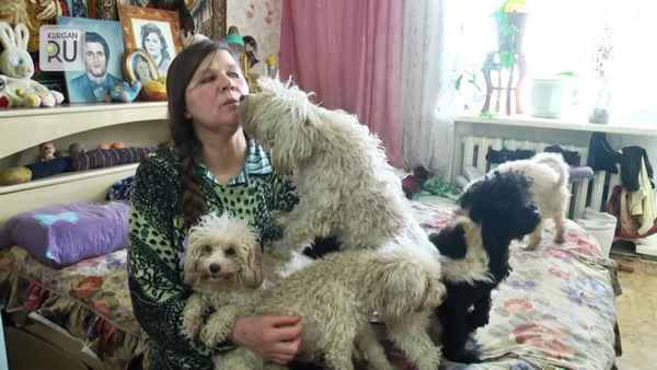 Неравнодушный москвич погасил кредит пенсионерки, которая влезла в долги из-за лечения 40 кошек и собак