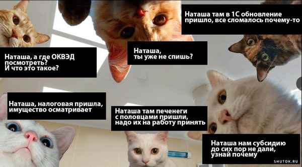 «Все ли в порядке с котом?»: Алибасов на секунду пришел в себя, спросил о судьбе питомца и снова потерял сознание